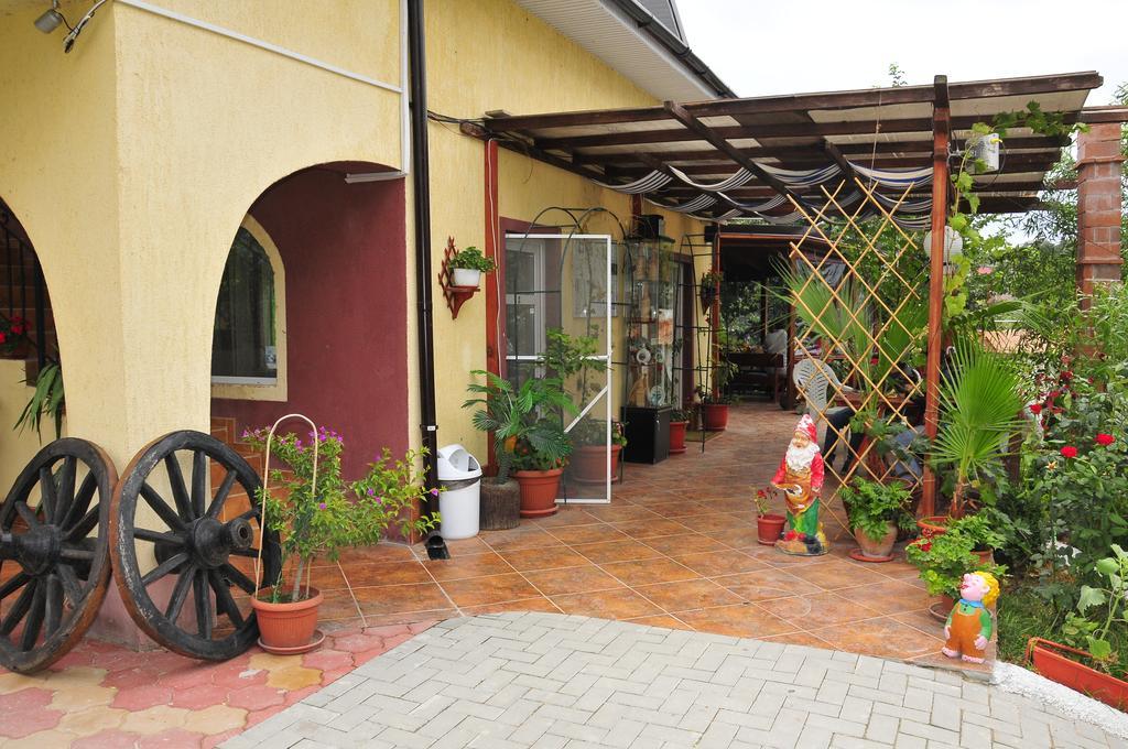 Pensiunea Delta D.M.Y. Mahmudia Extérieur photo